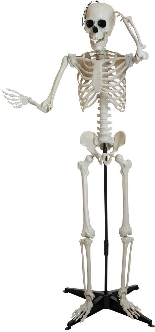Europalms Halloween Skelett, Stehend, 150 Cm