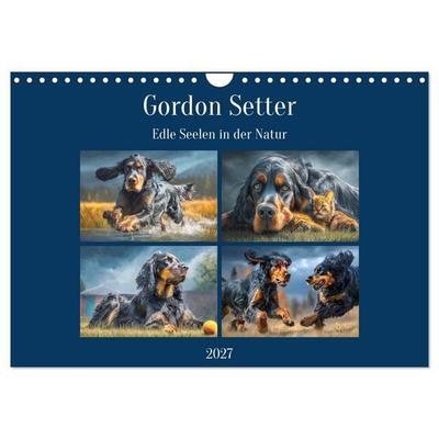 Gordon Setter. Edle Seelen in der Natur (Wandkalender 2027 DIN A4 quer), CALVENDO Monatskalender