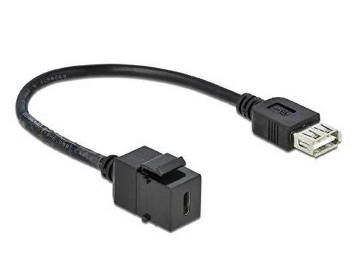 DELOCK ADAP KEYSTONE USB-C 2.0 naar USB2.0 A BOEK MET KABLE