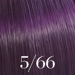 Color Touch Vibrant Reds - 5/66 hellbraun violett intensiv