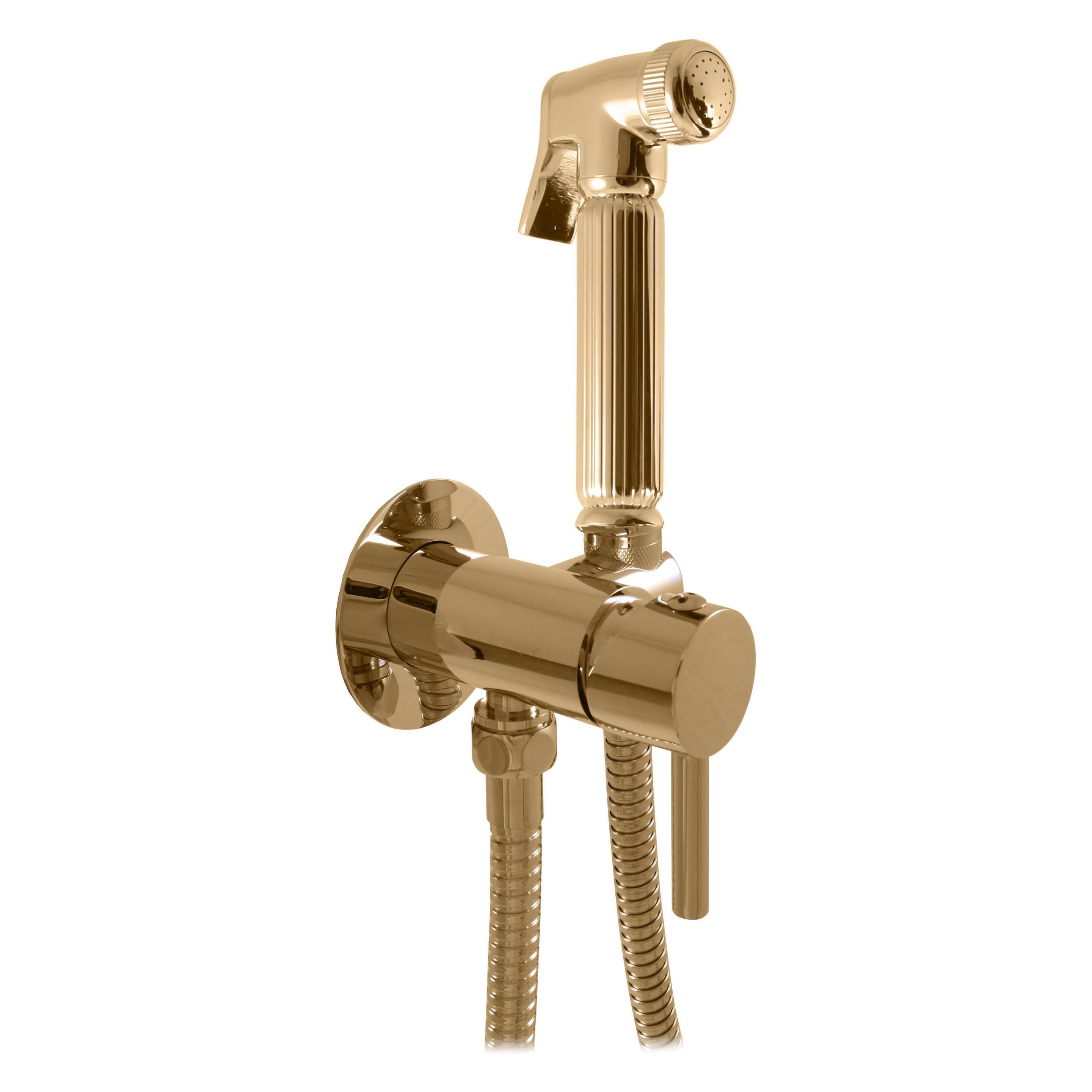 Domoletti BUILT-IN BIDET MIXCONC BODY DSE843/1Z (36521898)