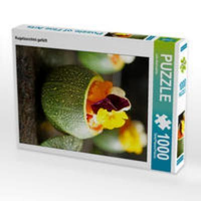 CALVENDO Puzzle Kugelzucchini gefüllt 1000 Teile Lege-Größe 48 x 64 cm Foto-Puzzle Bild von Julia Wankmüller