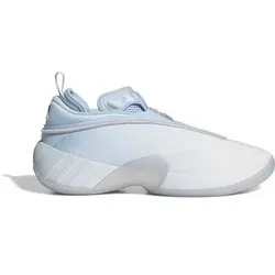 ADIDAS Herren Basketballschuhe D.O.N. ISSUE 7, Größe 44 in Grau Grau