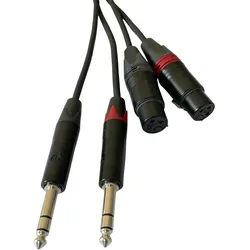 AudioTeknik Dual XLRf  > TRS 3m - Audiokabel