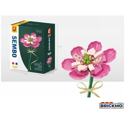 Sembo Blume Michelia Fuscata rosa 601233C