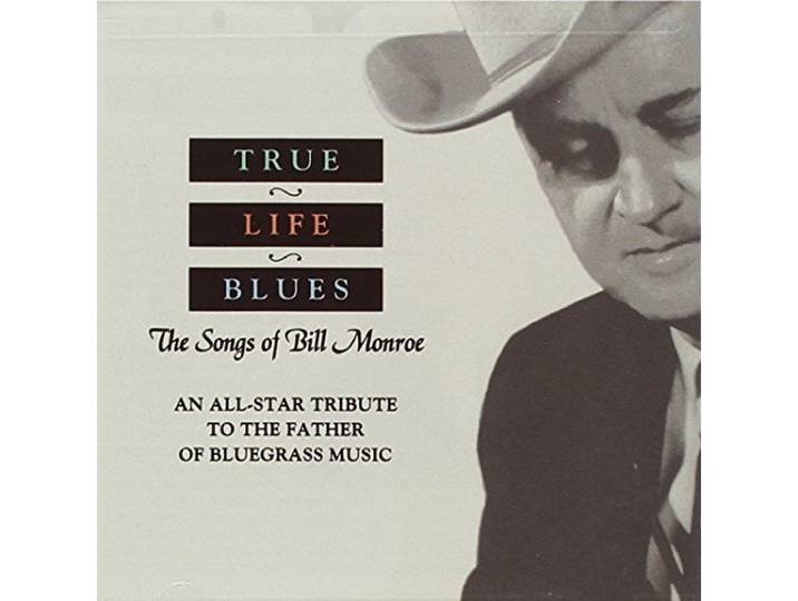 Various - True Life Blues: The Song