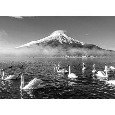 Papermoon "Mount Fuji mit Schwänen Schwarz & Weiß"