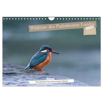 Wildtiere des Paderborner Landes (Wandkalender 2027 DIN A4 quer), CALVENDO Monatskalender