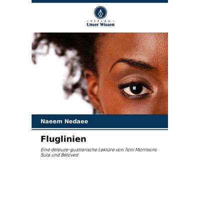 Fluglinien, Taschenbuch von Naeem Nedaee, Verlag Unser Wissen, 978-620-7-26411-7