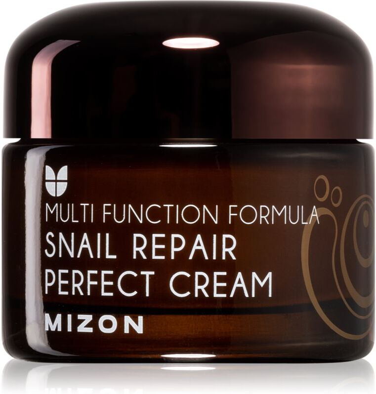 Mizon Multi Function Formula Snail crème visage à la bave d'escargot filtrée 60% 50 ml