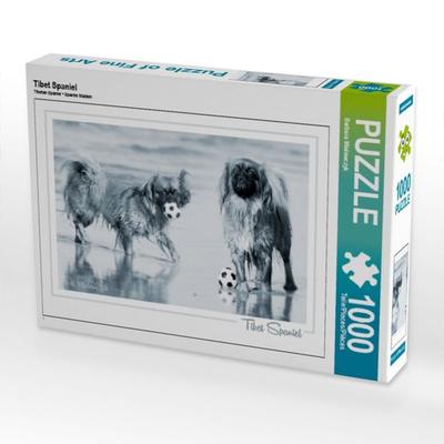 CALVENDO Puzzle Tibet Spaniel | 1000 Teile Lege-Größe 64x48cm Foto-Puzzle für glückliche Stunden