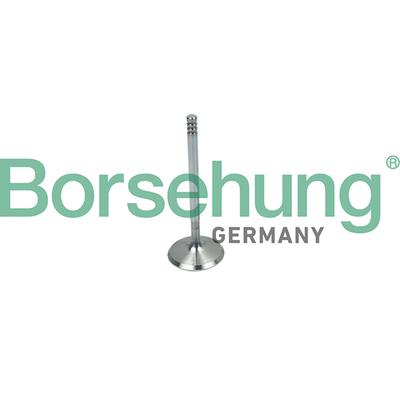 BORSEHUNG Einlassventil b19018 für VAG