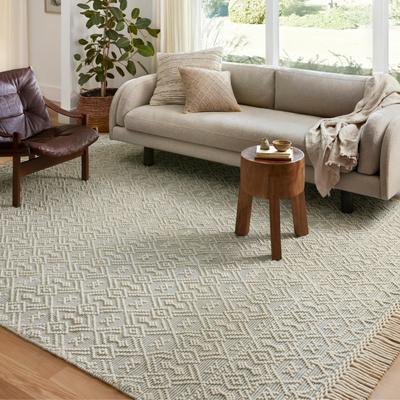 Alexander Home Joanna Farmhouse Hand Woven Area Rug