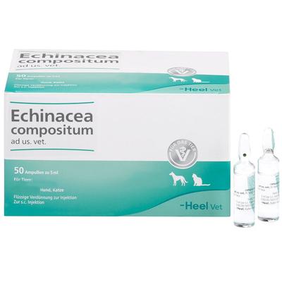 Echinacea Compositum ad us.vet.Ampullen 50 St Ampullen