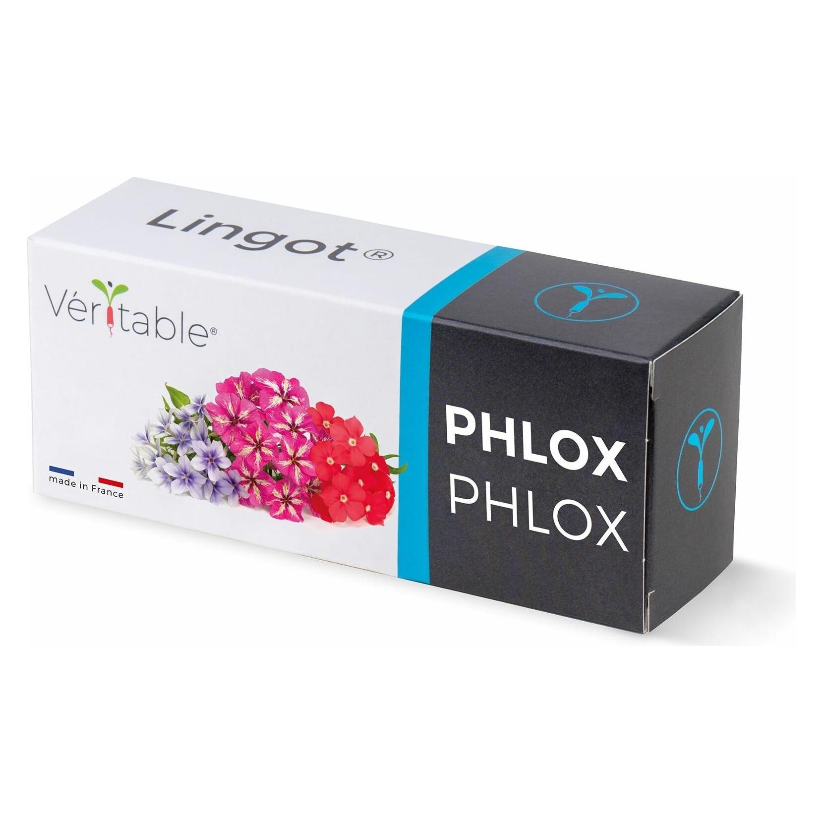 Véritable Lingot Stiefmütterchen BIO (Kräutersamen) (VLIN-F5-Phl04C)