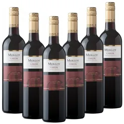 Bertoldi Merlot Garda DOC Bertoldi Italien  trocken - 6er Karton