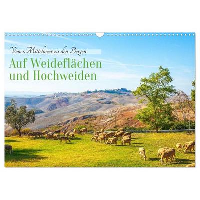 Auf Weideflächen und Hochweiden (Wandkalender 2026 DIN A3 quer), CALVENDO Monatskalender