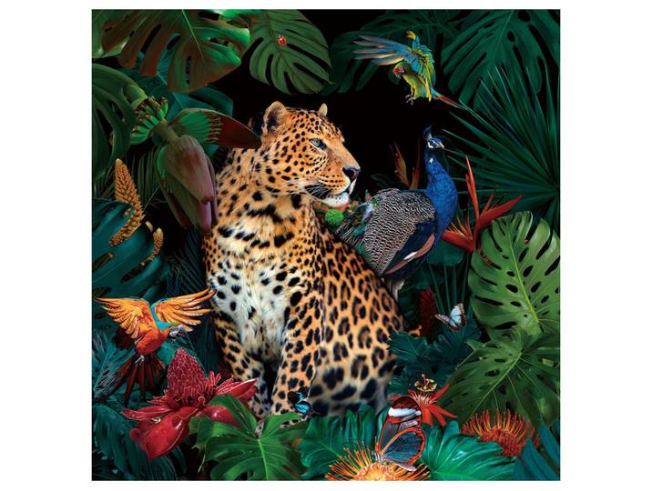 Glasbild Jaguar im Dschungel image LAND