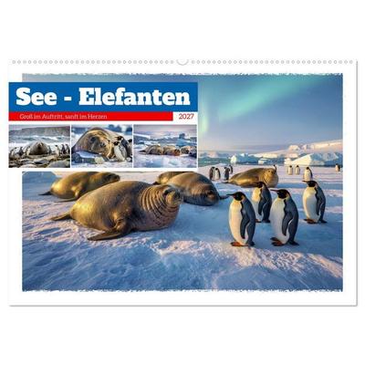See - Elefanten (Wandkalender 2027 DIN A2 quer), CALVENDO Monatskalender