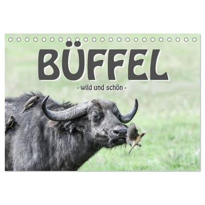 Büffel - wild und schön (Tischkalender 2027 DIN A5 quer), CALVENDO Monatskalender
