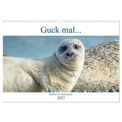 Guck mal... Robben im Wattenmeer (Wandkalender 2027 DIN A3 quer), CALVENDO Monatskalender