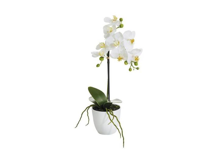 Kunstblume BOTANIC-HAUS Phalenopsis Topf 1 Rispe , weiss (weiß), H:38cm Ø:10cm, Polyester, Kunstpflanzen, Kunstblume