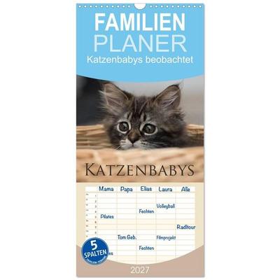 Familienplaner 2027 - Katzenbabys beobachtet mit 5 Spalten (Wandkalender, 21 x 45 cm) CALVENDO