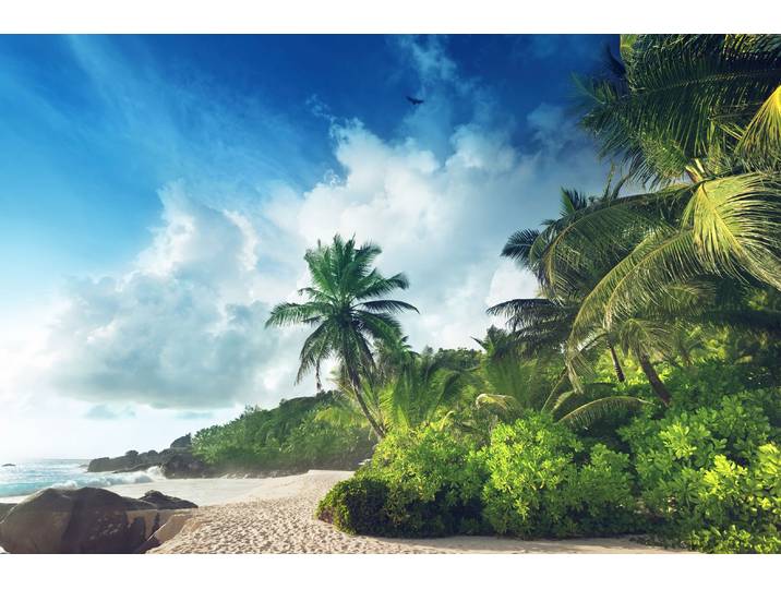 Fototapete PAPERMOON PALMEN-STRAND-SEYCHELLEN TROPISCH INSEL AFRIKA KÜSTE , bunt, B:3,5m L:2,6m, Vlies, Tapeten, Fototapete
