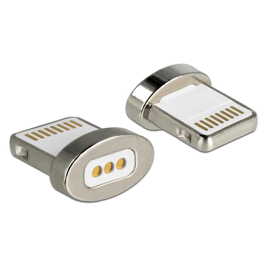 Delock Magnetischer Adapter USB Lightning (USB 2.0) (65928)