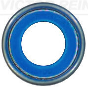 Victor Reinz 702414800
