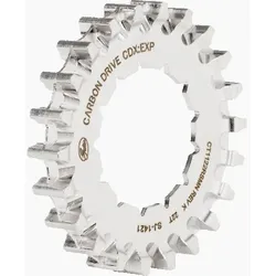 Gates CDX hintere Riemenscheibe, 22 Zähne, Rohloff, silber, Gates, 78980750-AM