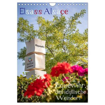 Elsass Alsace Riquewihr, das idyllische Weindorf (Wandkalender 2026 DIN A4 hoch), CALVENDO Monatskalender