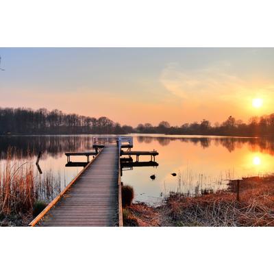 Fototapete PAPERMOON "HOLZ-BRÜCKE-PIER STEG SEE STRAND WALD SONNENUNTERGANG", bunt, B:2,5m L:1,86m, Vlies, Tapeten