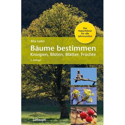 Bäume bestimmen - Knospen, Blüten, Blätter, Früchte, Gebundene Ausgabe von Rita Lüder, Haupt Verlag, 978-3-258-08430-5