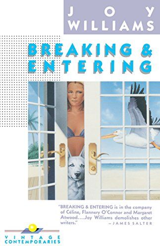 Joy Williams - Breaking & Entering (Vintage Contemporaries) - Preis vom 11.10.2026 15:43:13 h