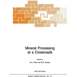Mineral Processing at a Crossroads, Fachbücher von B. A. Wills, R. W. Barley