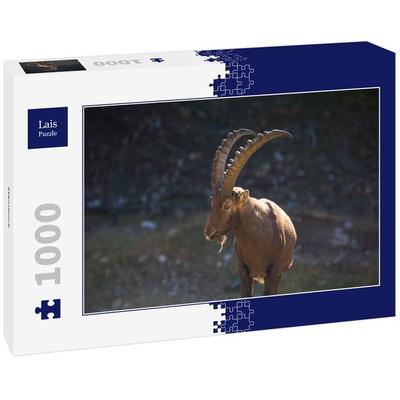 Lais Puzzle Steinbock 1000 Teile