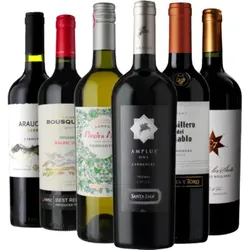 Weinpaket -Best of Argentinien & Chile - 6 Fl. - 4.5L