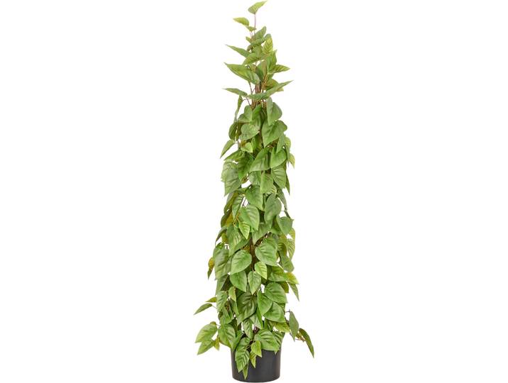 Kunstbaum CREATIV GREEN Philodendron scandens , grün, H:125cm, Obermaterial: 100% Kunststoff, Kunstpflanzen, Kunstbaum, in Pyramidenform