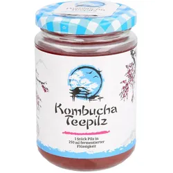 Kombucha Teepilz
