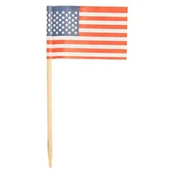 PAPSTAR 5000 Deko-Picker 8 cm "Amerika"