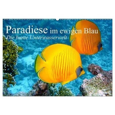 Paradiese im ewigen Blau. Die bunte Unterwasserwelt (Wandkalender 2026 DIN A2 quer), CALVENDO Monatskalender