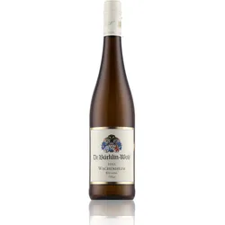 Dr. Bürklin Wolf Wachenheim Riesling trocken 2022 12% Vol. 0,75l