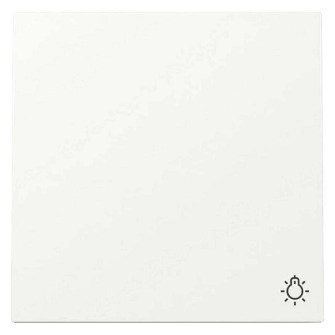 Gira Wippe Symb. Licht (328570)