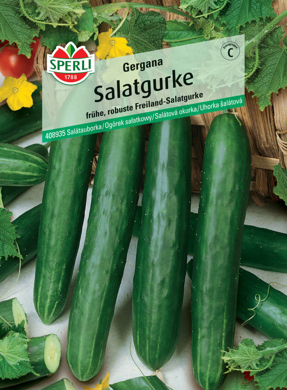 Sperli Salatgurke Gergana