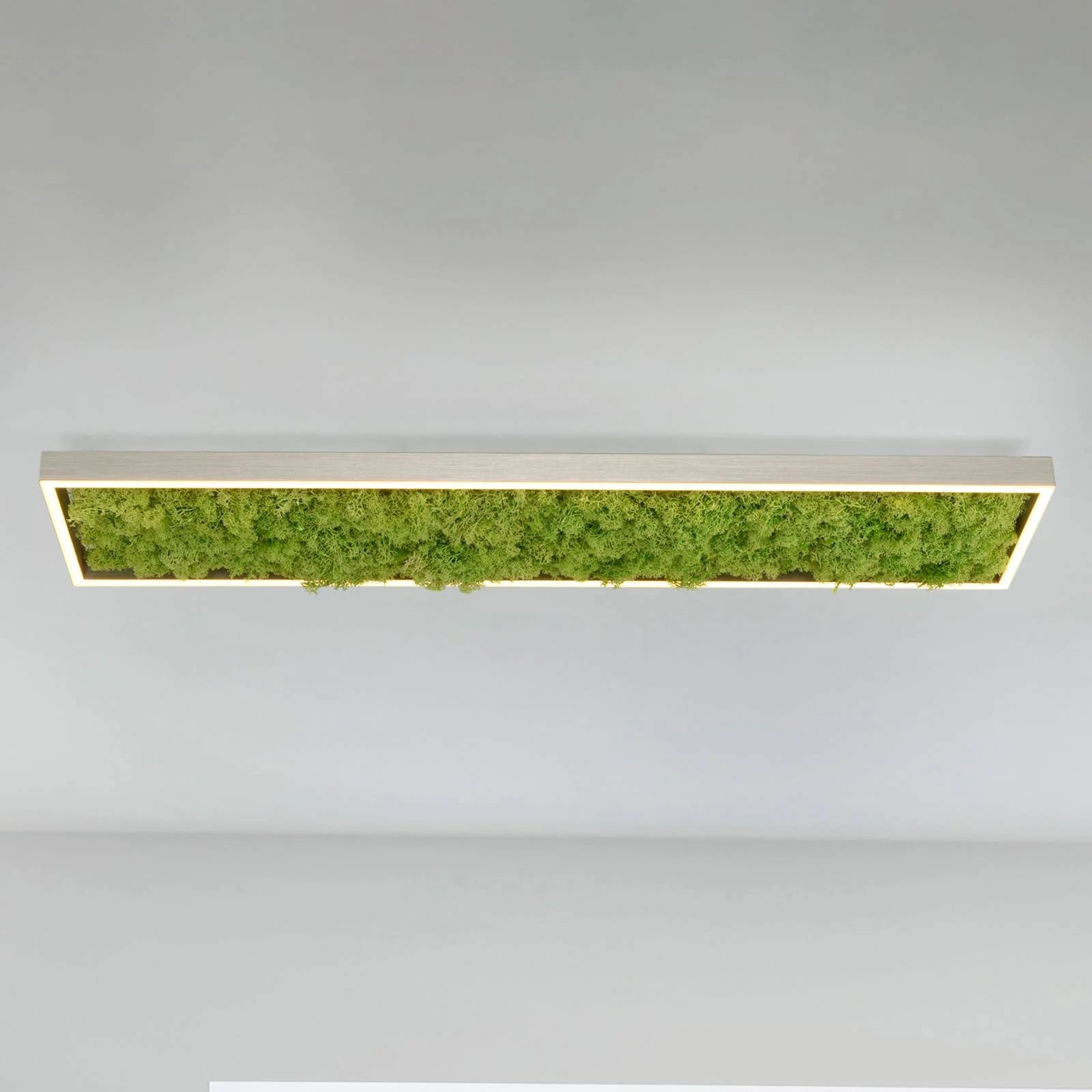 Modern dimbare groene LED-plafondlamp Knut van JUST LIGHT. GmbH voor woon- en eetkamer
