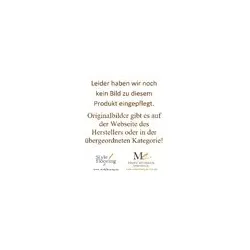Style Flooring FP124Eiche Salzach