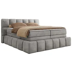 BOXSPRINGBETT NIRA KING 140/200 Hellgrau Velvet - H3