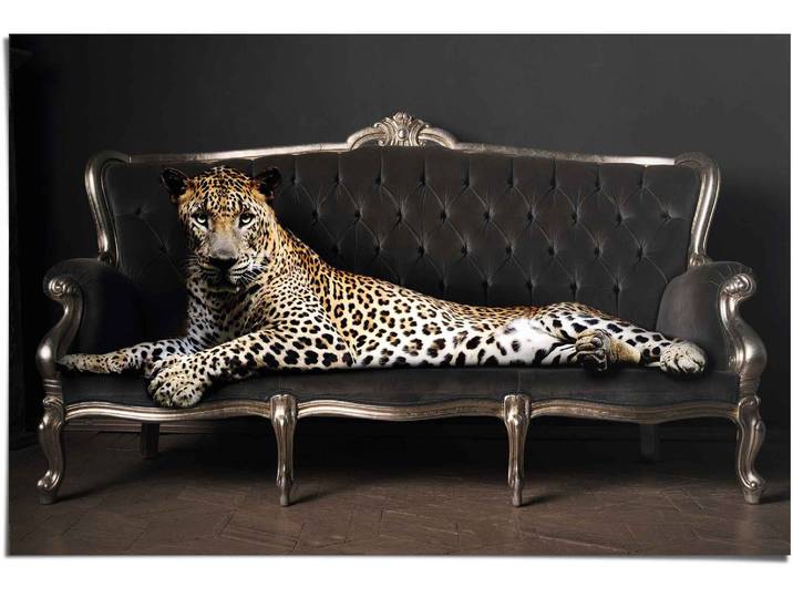 Poster REINDERS Leopard Chic Panther - Liegend - Luxus - Relax , schwarz (farbe bild(er): schwarz), B:91,5cm H:61cm, Papier, Bilder, Poster