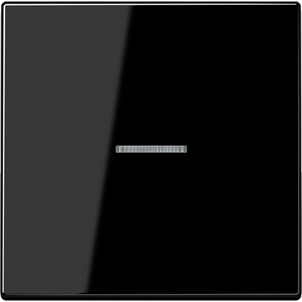 Jung Wippe Lichtleiter ws für Taster LS 990 KO5 SW (LS990KO5SW)
